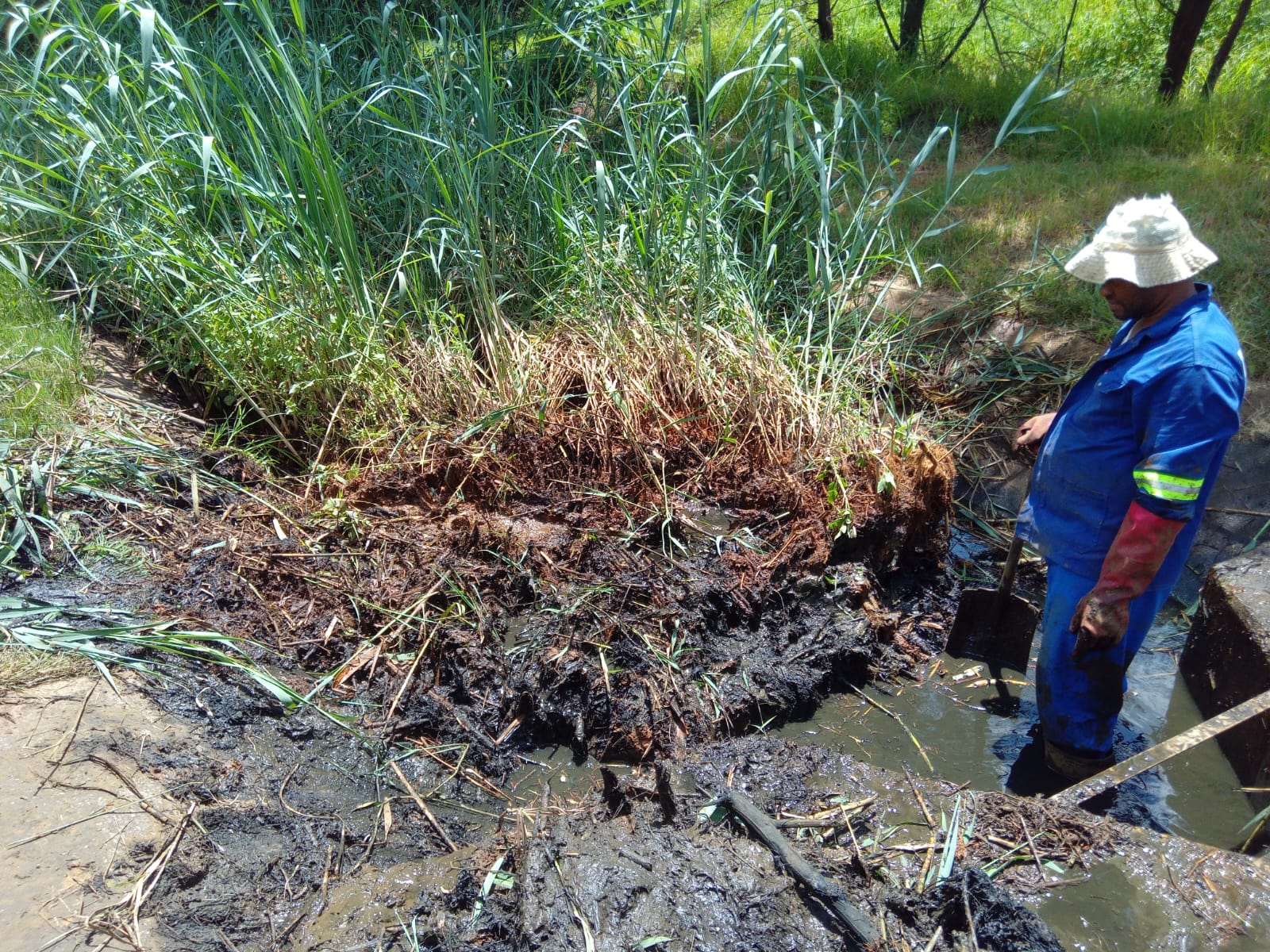 505dff73-7ebf-4b13-a738-5a1646b54f05